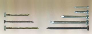 Image if a group of different sized common nails
