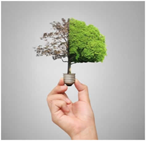 abstract tree showing learning